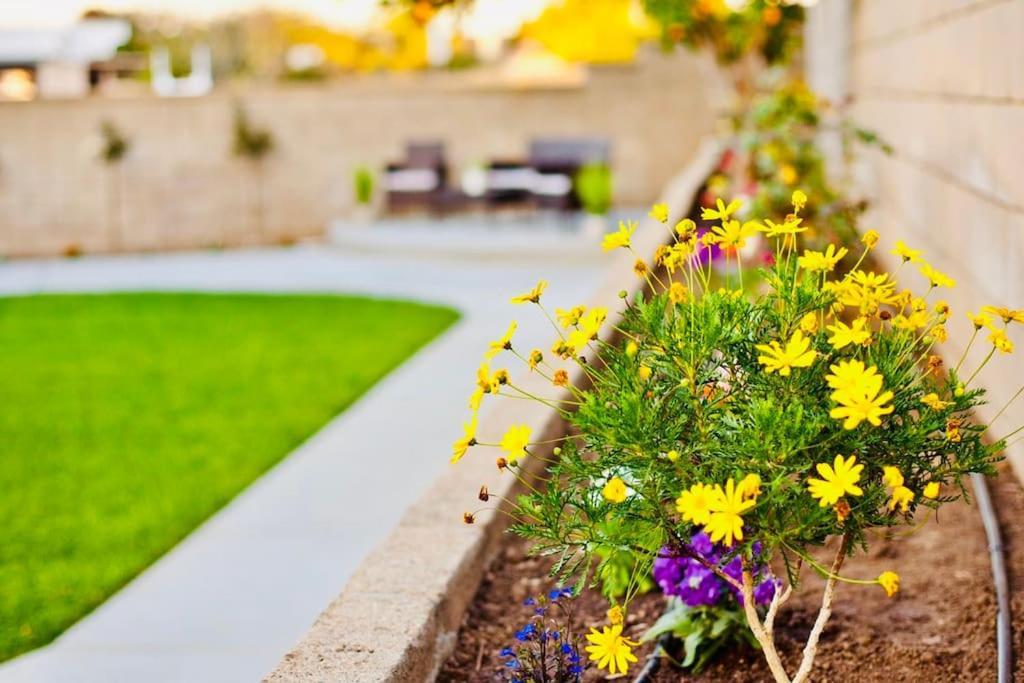 La Sunny House Beautiful Yard 7 Rooms 4 Bathrooms Near Disneyland & Hollywood & Downtown Хасиенда-Хайтс Экстерьер фото